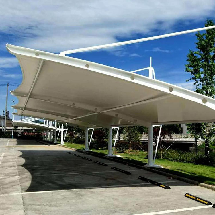 龙口市膜结构汽车棚